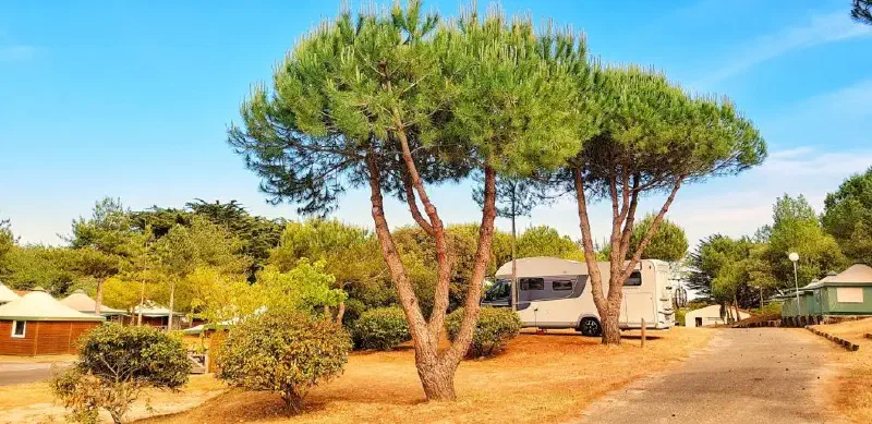 Unser Wohnmobil auf einem Campingplatz